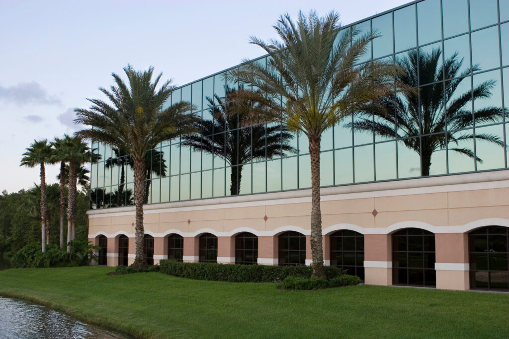Modern building with Palm Trees